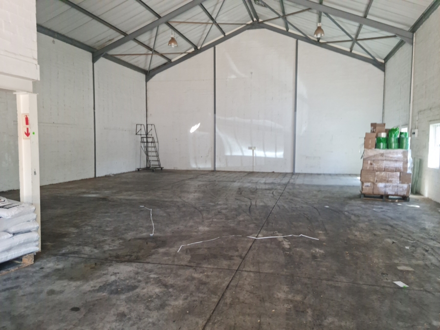 To Let commercial Property for Rent in Asla Park Western Cape